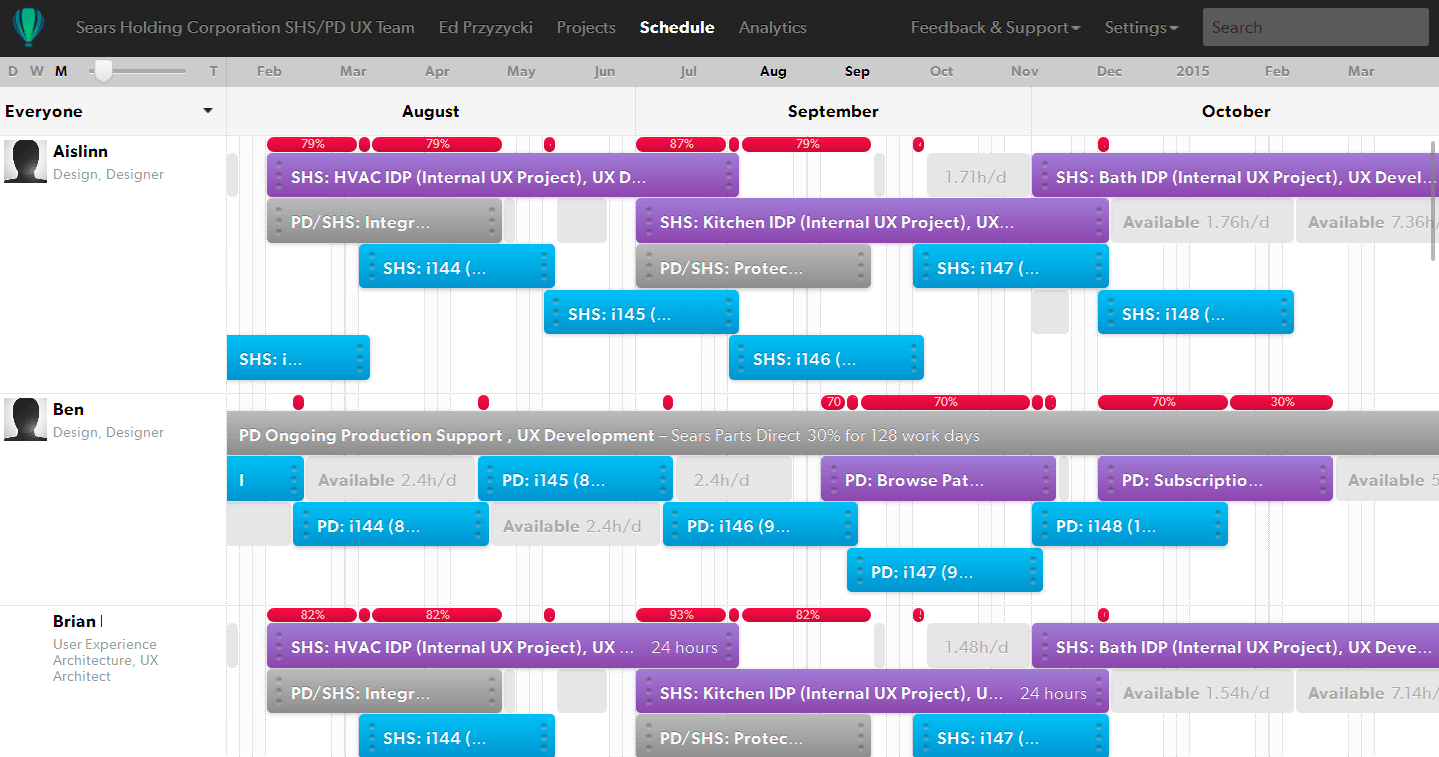 Capacity planning tool solves many resource managers problems with any team member, team's availability